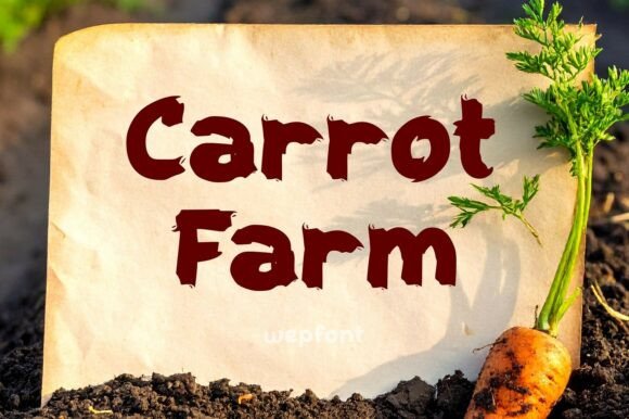 Carrot Farm: A Display Font That Brings Warmth to Your Brand
